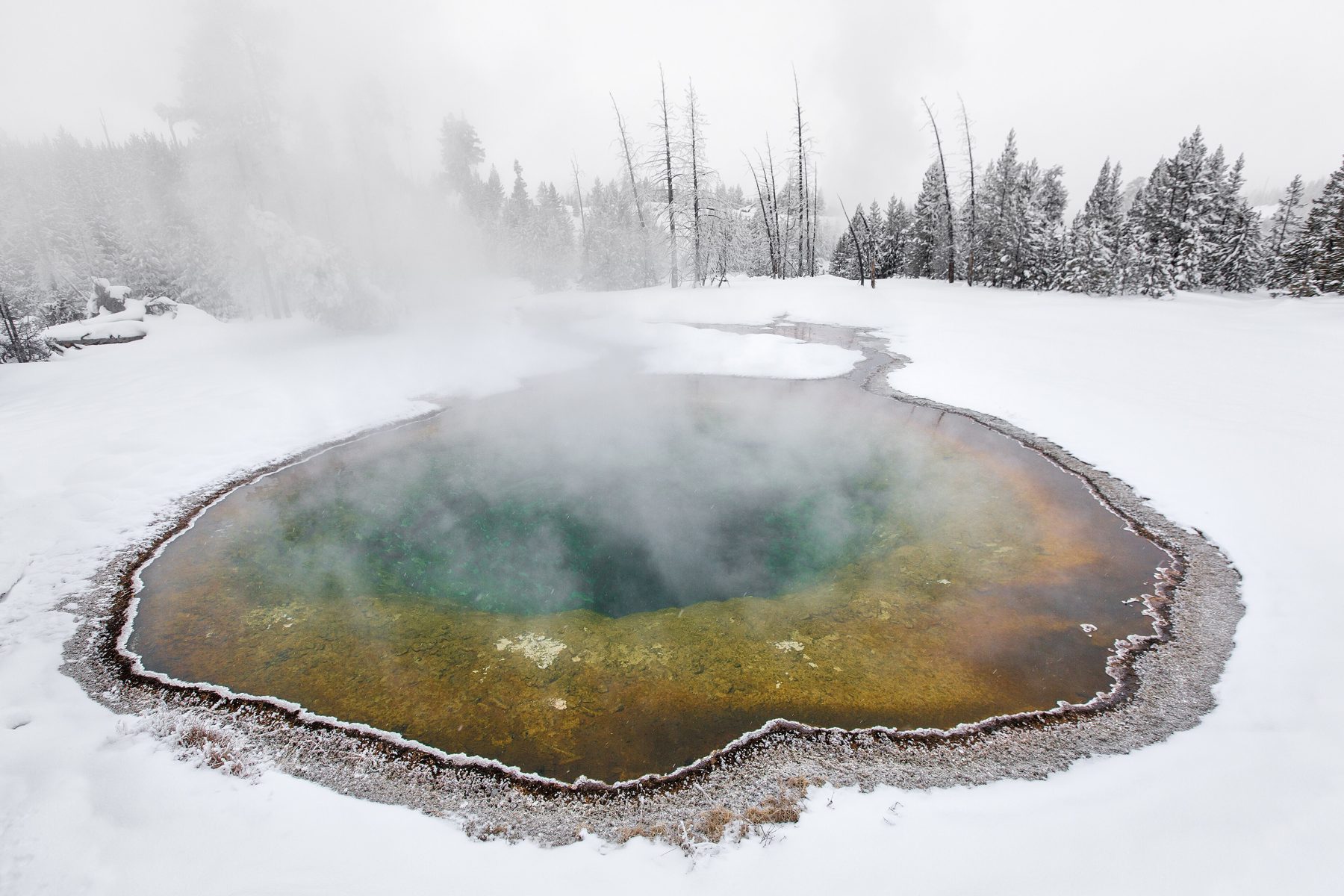 Morning Glory Pool nevada