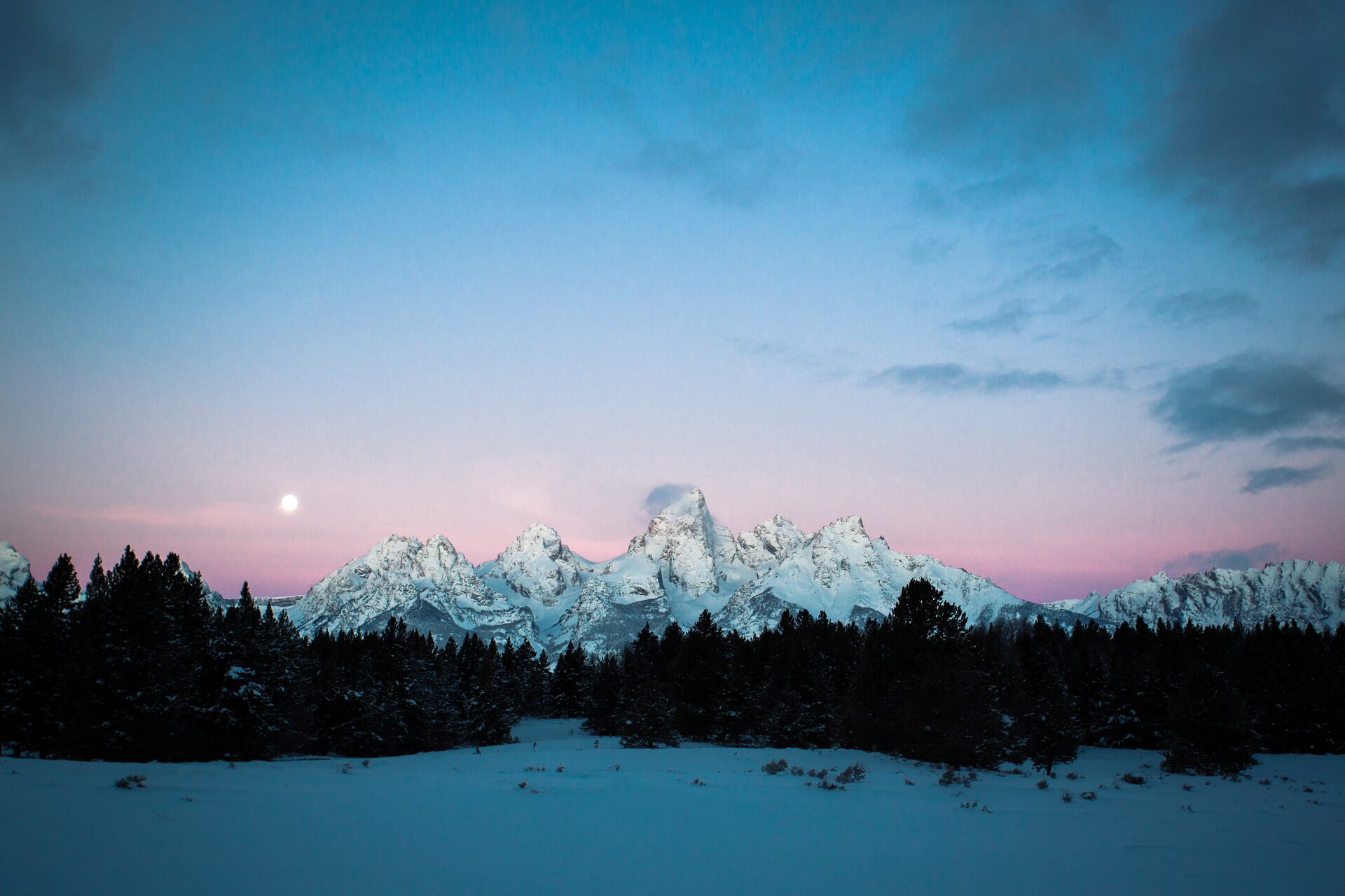 Los Tetons nevados bajo un cielo rosado con la luna, detrás de un bosque oscuro y una llanura de nieve