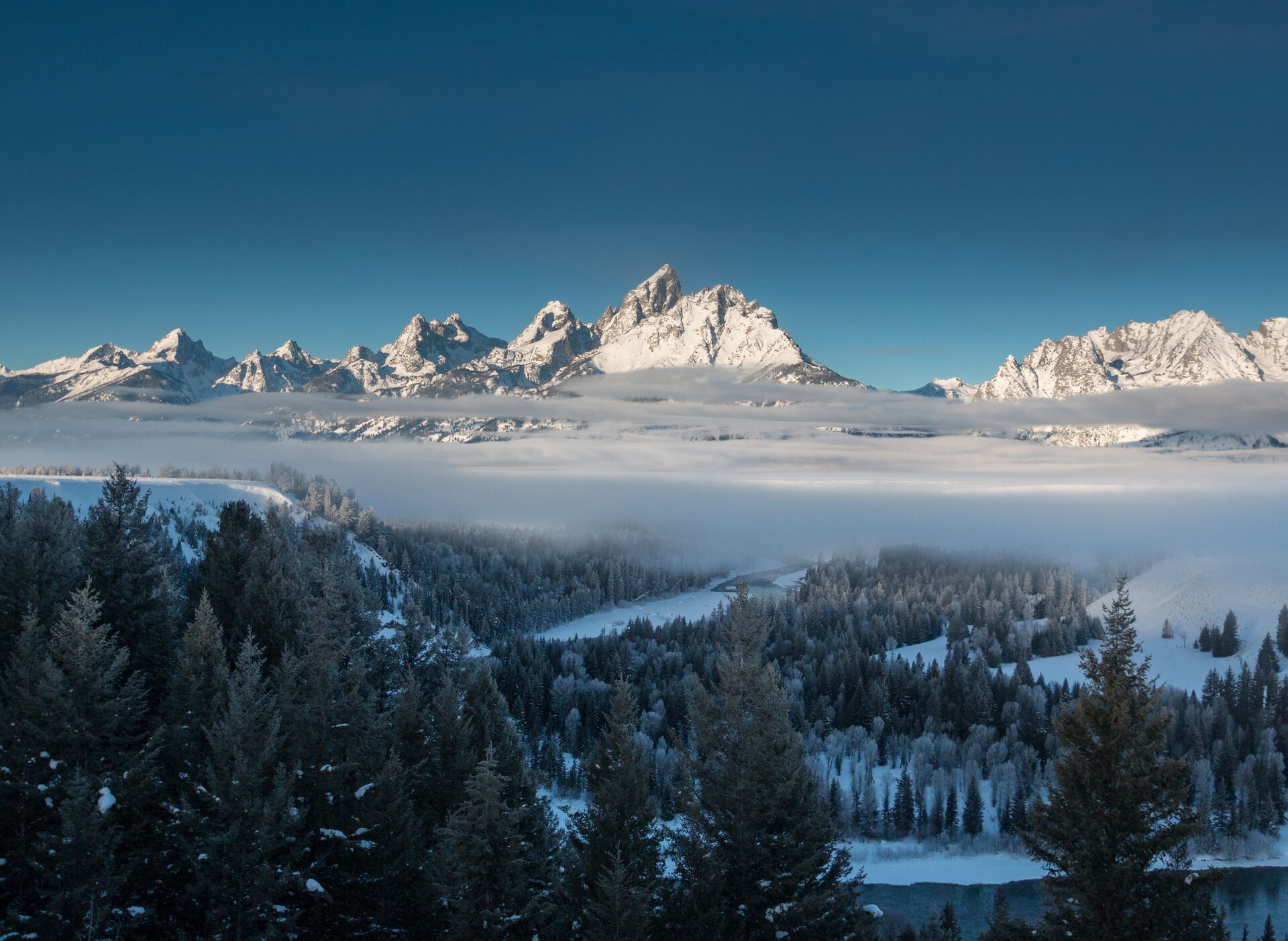 La cordillera Teton nevada asoma sobre un banco de niebla y un bosque de coníferas
