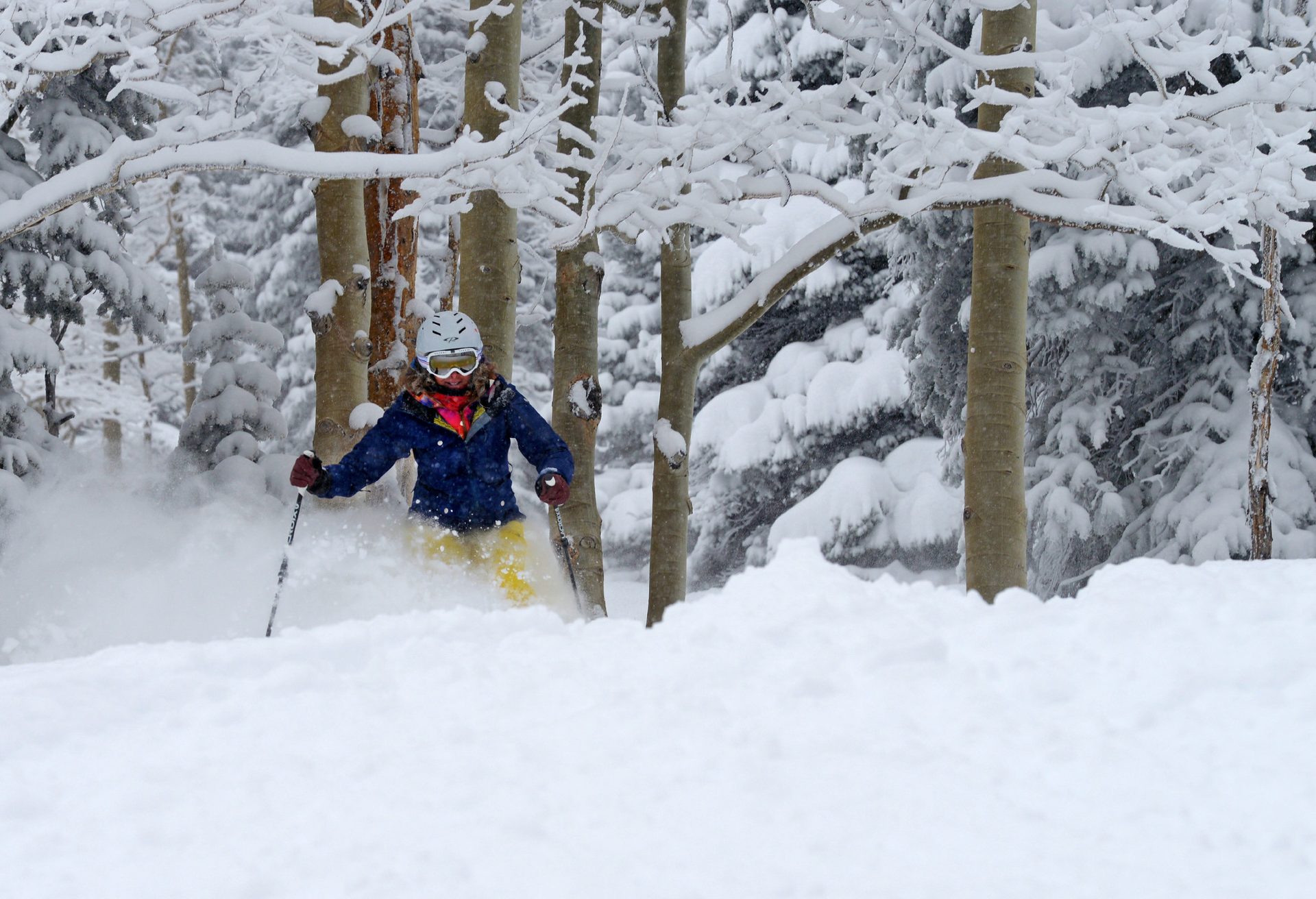 Un esquiador bajando entre árboles cubiertos de nieve